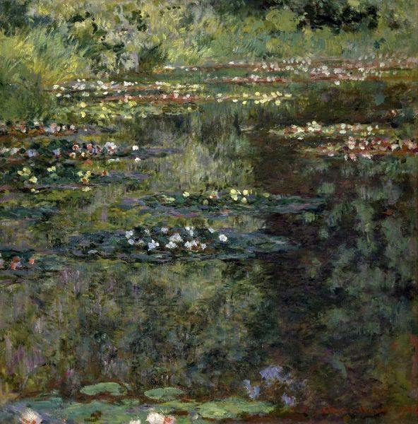 Pool with Waterlilies, 1904