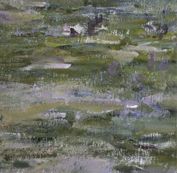 Study of Water Lilies - Etude des nympheas