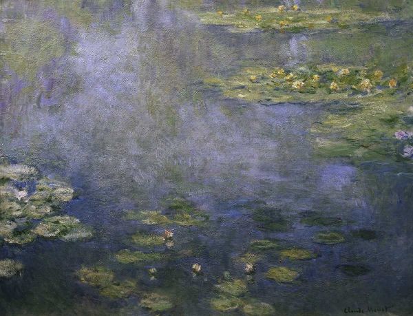 Water Lilies - Nympheas IV