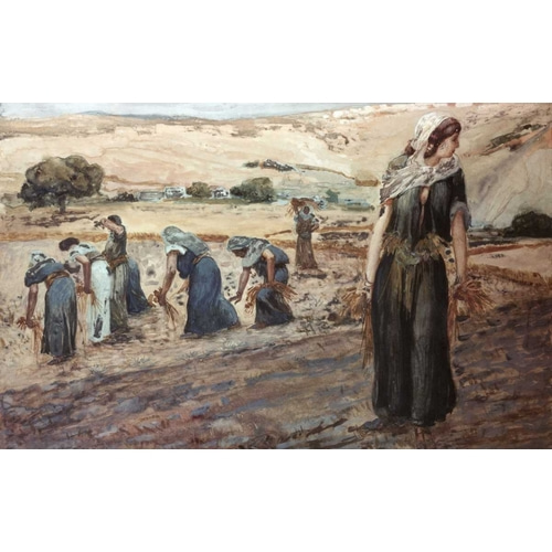 Ruth Gleaning