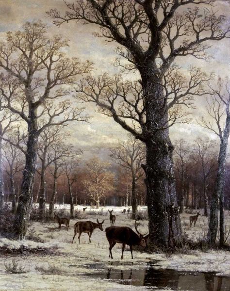 Deer Foraging, Winter