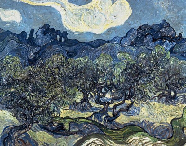 Olive Trees With The Alpilles In The Background,Saint-Remy