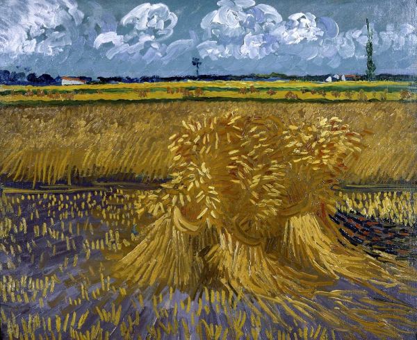 Wheat Field with Sheaves