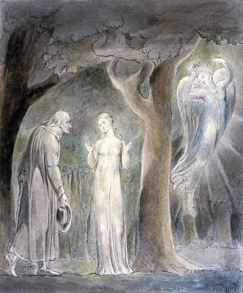 Comus, Disguised as a Rustic, Addresses the Lady in the Wood