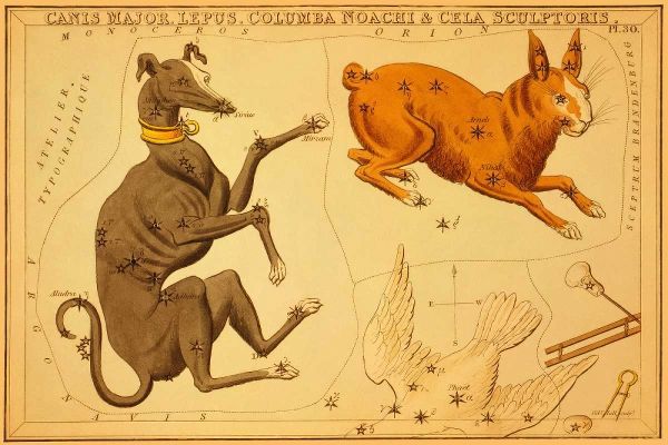 Canis Major, Lepus, Columba Noachi and Cela Sculptoris, 1825