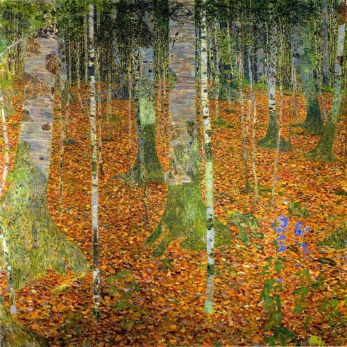Birch Wood 1903