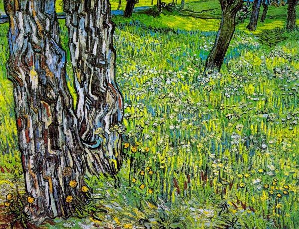 Pine Trees And Dandelions In The Garden Of Saint Paul Hospital 1890