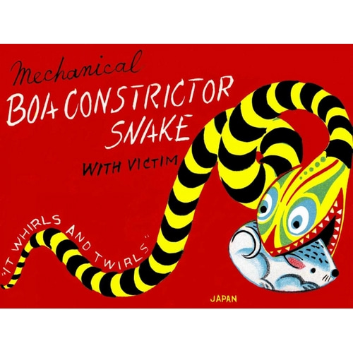 Boa Constrictor Snake with Victim