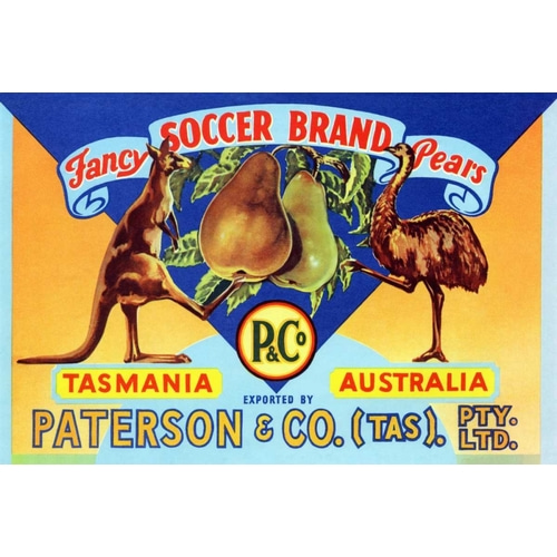 Fancy Soccer Brand Pears