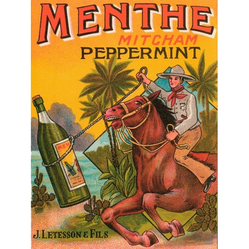 Menthe Peppermint
