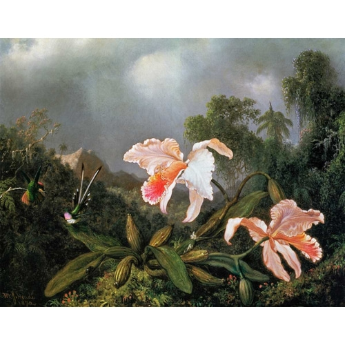 Jungle Orchids And Hummingbirds 1872