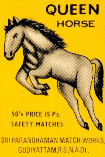 Queen Horse Matches