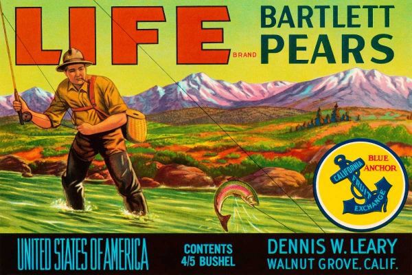 Life Brand Bartlett Pears
