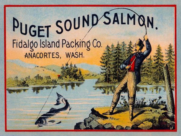 Puget Sound Salmon - On the Fly