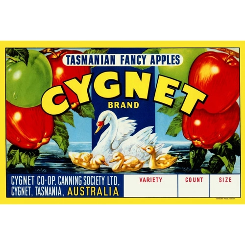 Cygnet Tasmanian Fancy Apples
