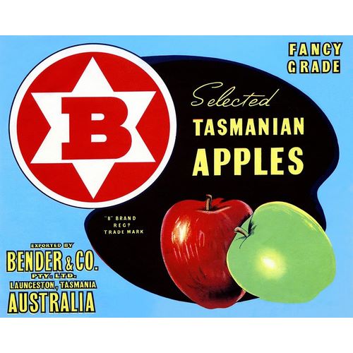 Fancy Grade Selected Tasmanian Apples