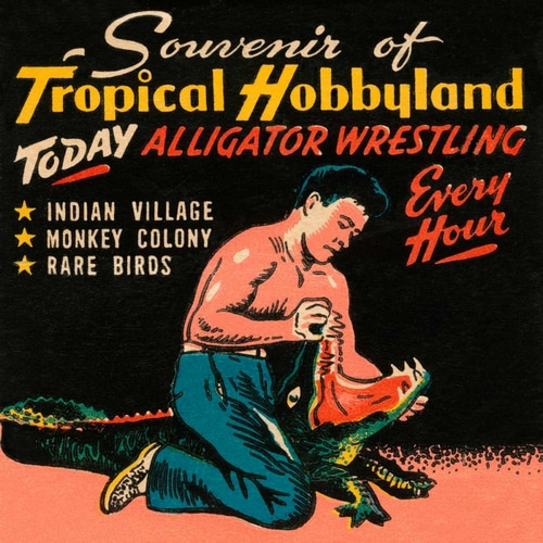 Tropical Hobbyland - Alligator Wrestling