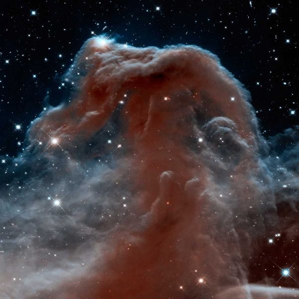 Horsehead Nebula, Infrared View
