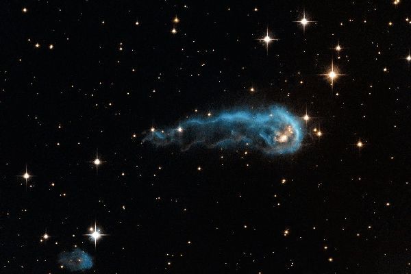 Protostar in the Cygnus