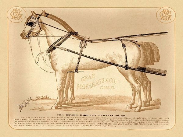 Saddles and Tack: Fine Double Barouche Harness