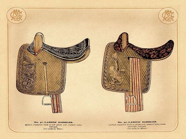Saddles and Tack: Ladies Saddles #1