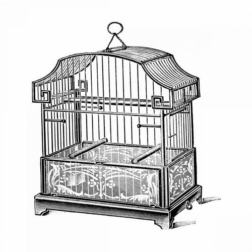 Etchings: Birdcage - Gable top, floral base.