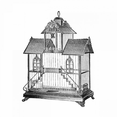 Etchings: Birdcage - Victorian house with steps.