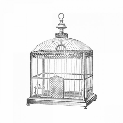 Etchings: Birdcage - Arched top, filigree detail.