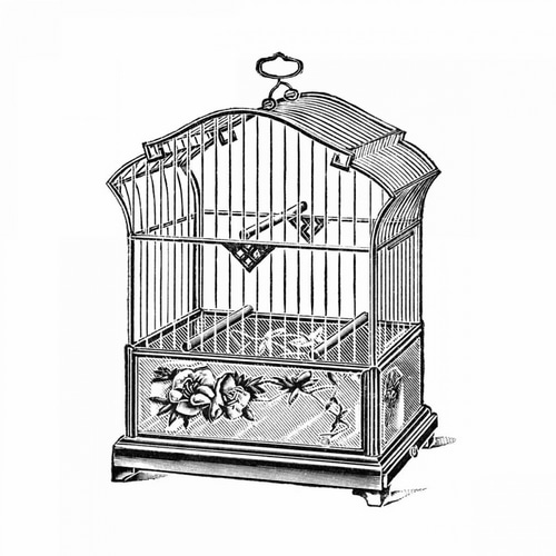 Etchings: Birdcage - Gable top, rose base.