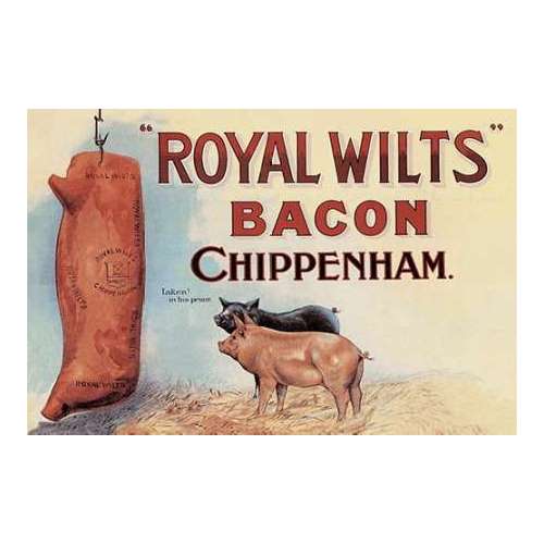 Pigs and Pork: Royal Wilts Bacon
