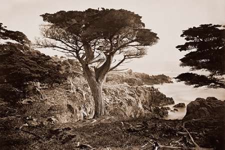 Cypress Point, Monterey, California, about 1880s