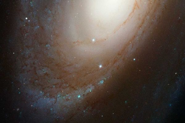 HST ACS Image of M81
