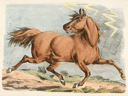 Brown Horse Running, 1817