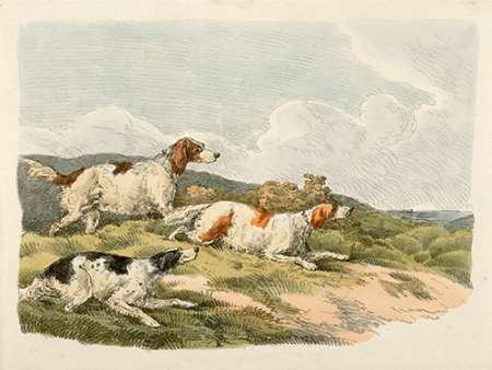 Running Hounds, 1817