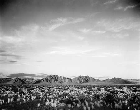 Distant mountains: desert and shrubs in foreground near Death Valley National Monument, California -