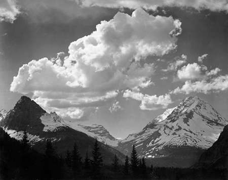 Trees in Glacier National Park, Montana - National Parks and Monuments, 1941