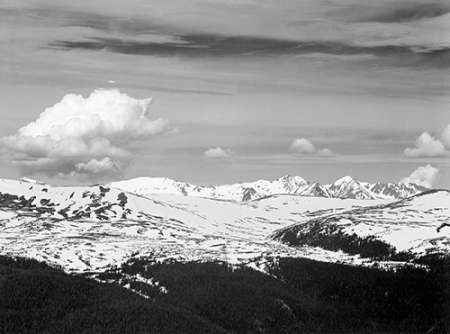 View at timberline, dark foreground, light snow capped mountain, gray sky, in Rocky Mountain Nationa