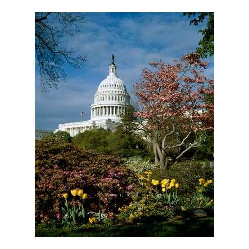 U.S. Capitol, Washington, D.C. Number 3