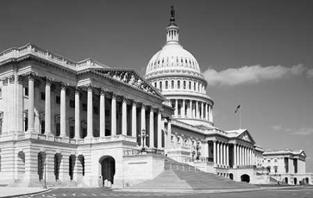 U.S. Capitol, Washington, D.C. - Black and White Variant