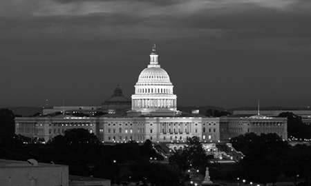 U.S. Capitol, Washington, D.C. Number 2 - Black and White Variant