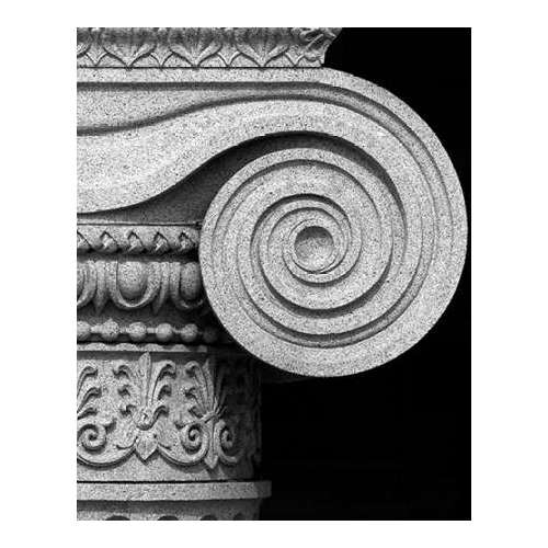 Column detail, U.S. Treasury Building, Washington, D.C. - Black and White Variant