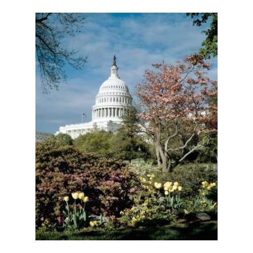 U.S. Capitol, Washington, D.C. Number 3 - Vintage Style Photo Tint Variant