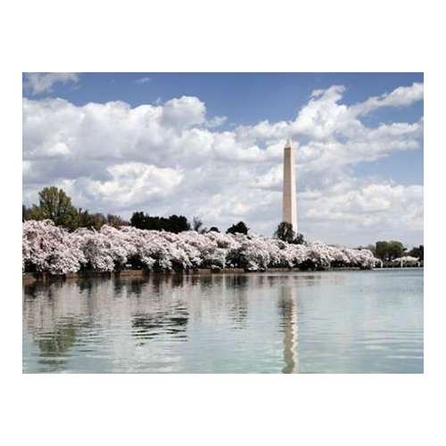 Washington Monument, Washington, D.C. - Vintage Style Photo Tint Variant