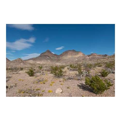 Scenery in Big Bend National Park, TX