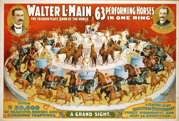 63 Performing Horses - 1899