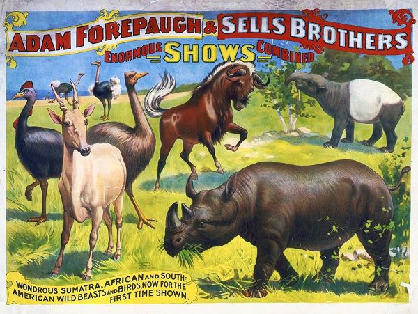 Adam Forepaugh and Sells Brothers Enormous Shows Combined - Wondrous Sumatra, African And South-Amer
