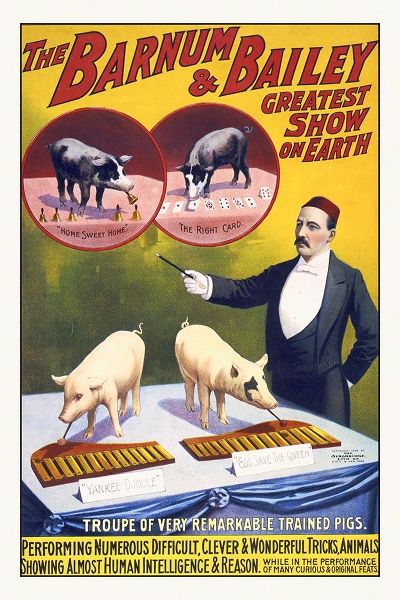 The Barnum and Bailey Greatest Show On Earth--Troupe Of Very Remarkable Trained Pigs
