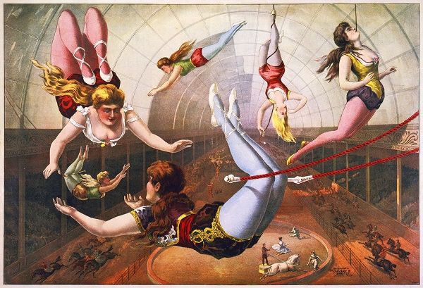 Trapeze Artists In Circus