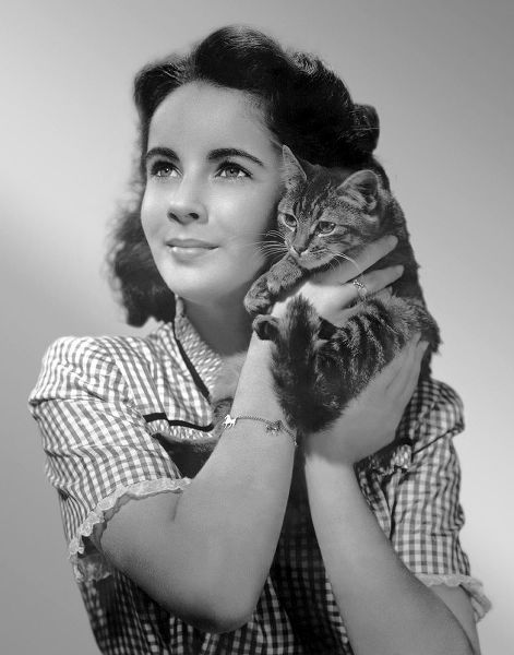 Elizabeth Taylor with kitten