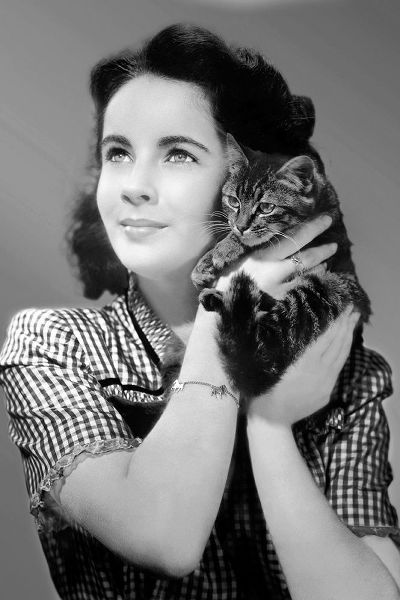 Elizabeth Taylor with a kitten